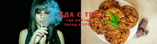 гашик Няндома