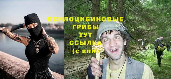 марки nbome Нязепетровск