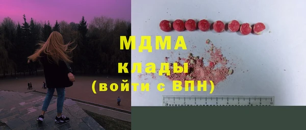гашик Няндома