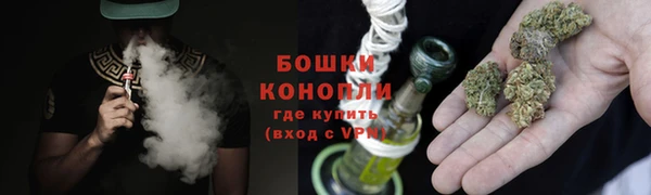 дживик Нягань