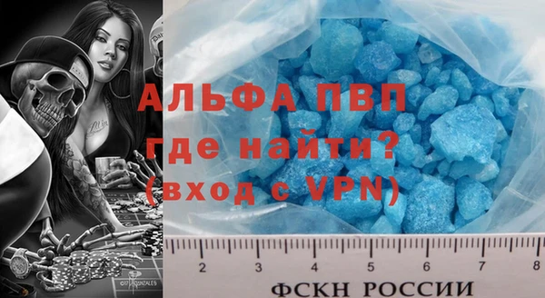 гашик Няндома