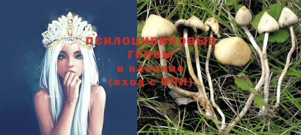 марки nbome Нязепетровск