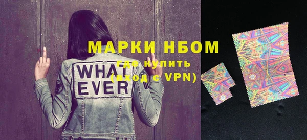 гашик Няндома