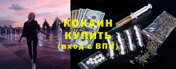 гашик Няндома