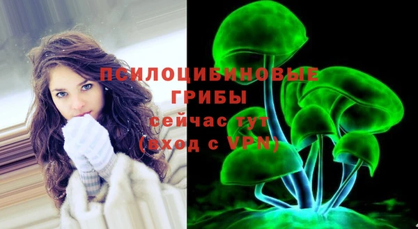 марки nbome Нязепетровск