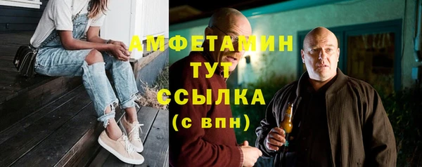 гашик Няндома