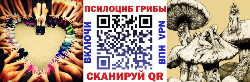 магазин    Власиха  Галлюциногенные грибы мухоморы 